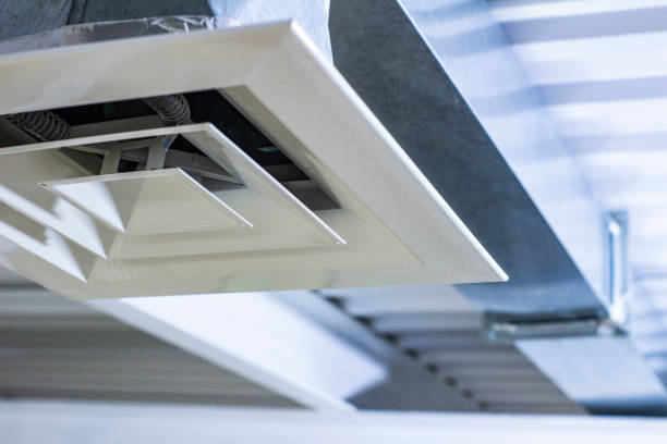 Best Air Duct Mold Removal  in Gerdine, AL
