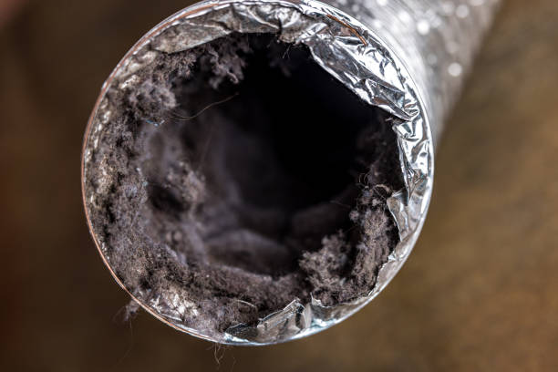 Best Air Duct Cleaning Company Near Me  in Gerdine, AL