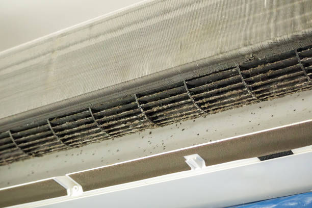 Best Commercial Air Duct Cleaning  in Gerdine, AL